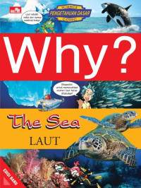 Image of Why? The Sea = laut